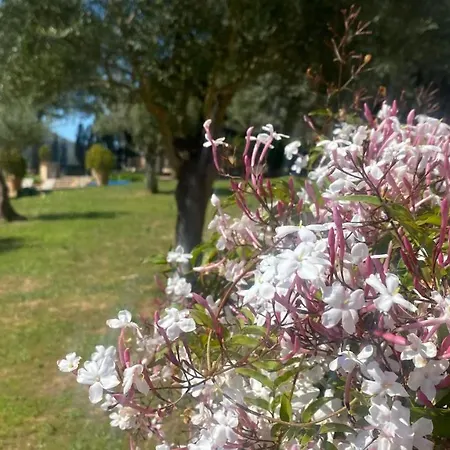 Vakantieboerderij Son Cardaix