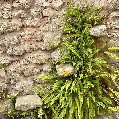 Vakantieboerderij Son Cardaix Artá